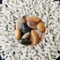 3 LBS 3/16" X 3/8" Rock Tumbling Ceramic Pellets Filler Media for All Type Tumbl