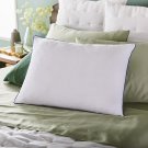 2-In-1 Memory Foam Pillow and Alternative down Fiber Fill, Standard Size, Side,