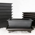 8 Sets Rectangular Plastic Shohin Bonsai Training Pot, Cactus & Succulent Plante