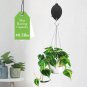 2 Pack Plant Pulley Hanger, Retractable Plant Hanger Hooks Heavy Duty Easy to Ra