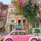 - Scenic Photography - Boulevard in Bloom - 300 Piece Jigsaw Puzzle