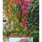 - Scenic Photography - Boulevard in Bloom - 300 Piece Jigsaw Puzzle