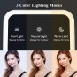 Makeup Mirror with Lights, 8.6"X6.1" Rechargeable Travel Vanity Mirror with Stan