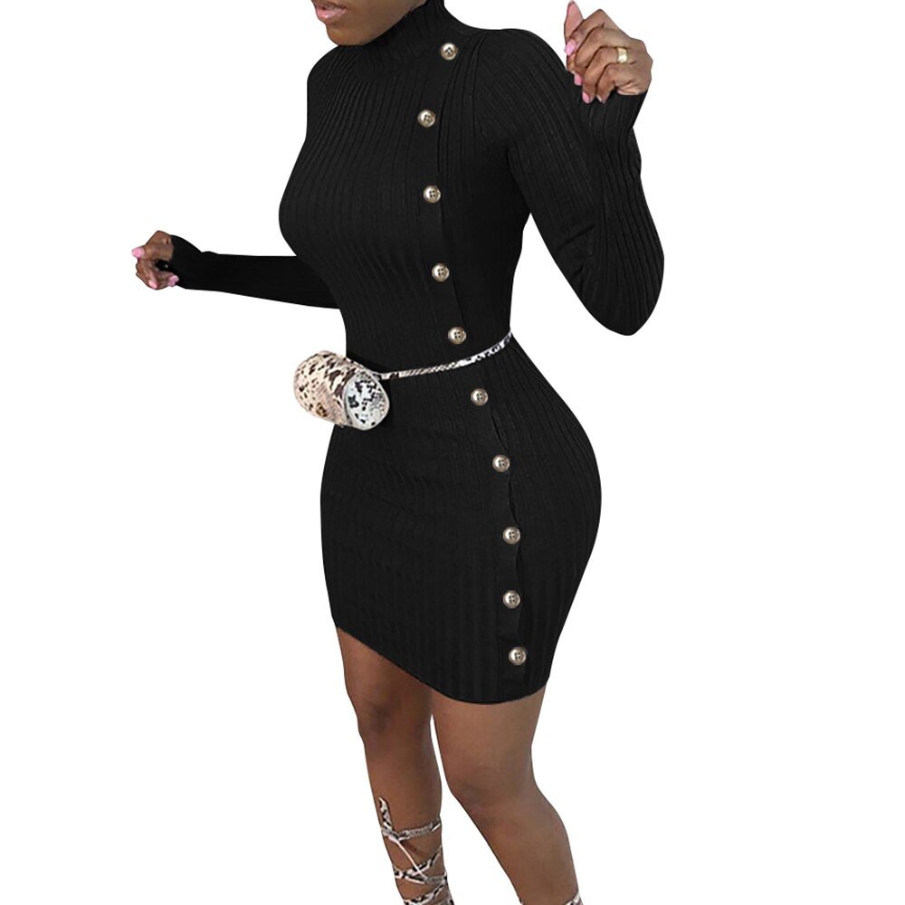 Spring Autumn Sweater Dress Long Sleeve Turtleneck
