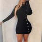 Spring Autumn Sweater Dress Long Sleeve Turtleneck