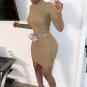 Spring Autumn Sweater Dress Long Sleeve Turtleneck