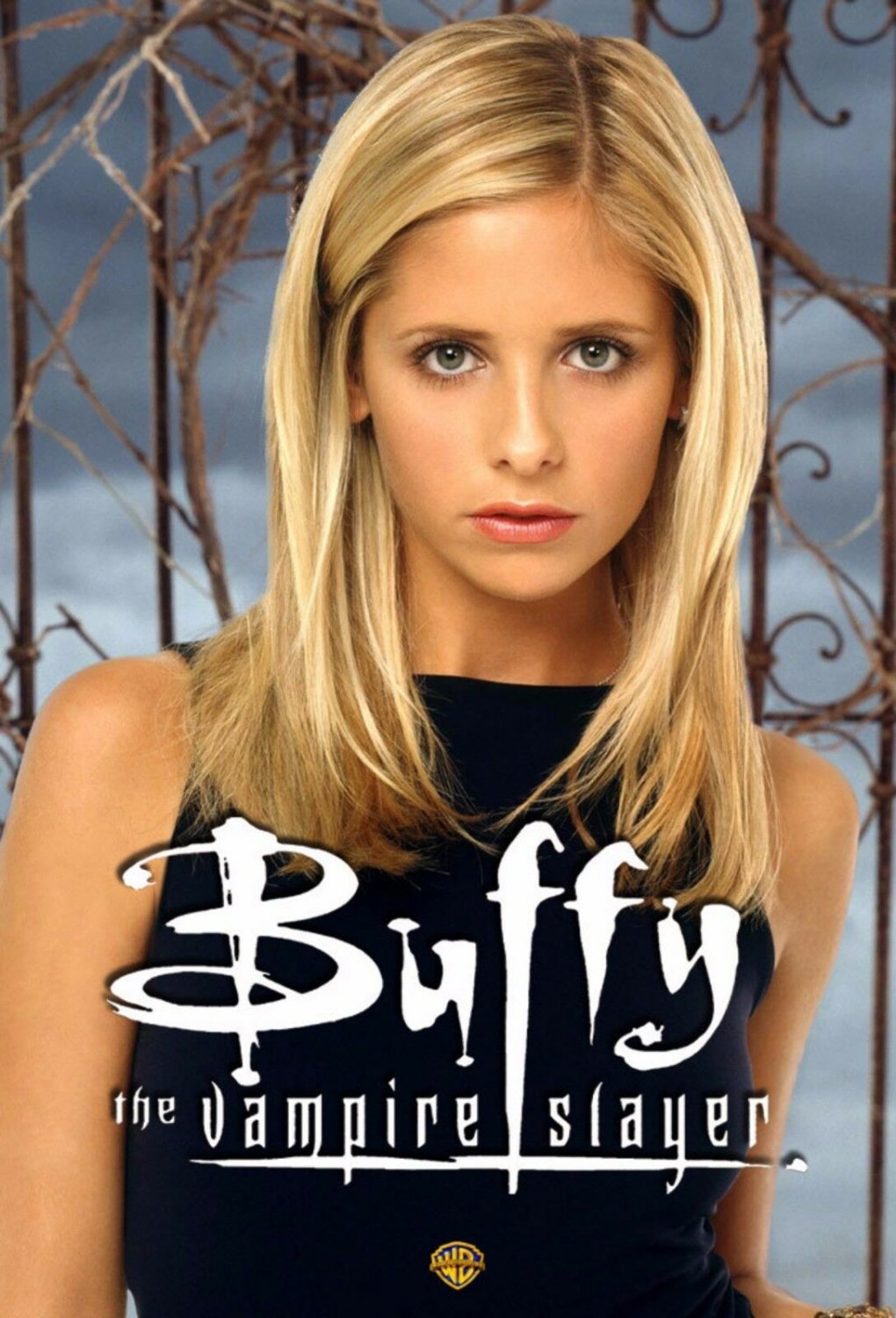 Buffy the Vampire Tv Show Movie Poster 13x19 inches