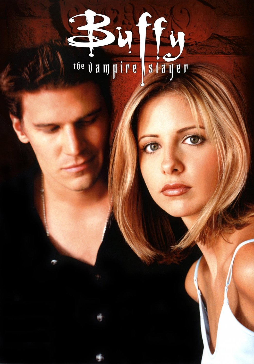 Buffy the Vampire Tv Show Movie Poster 13x19 inches