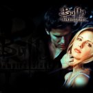 Buffy the Vampire Tv Show Movie Poster 13x19 inches
