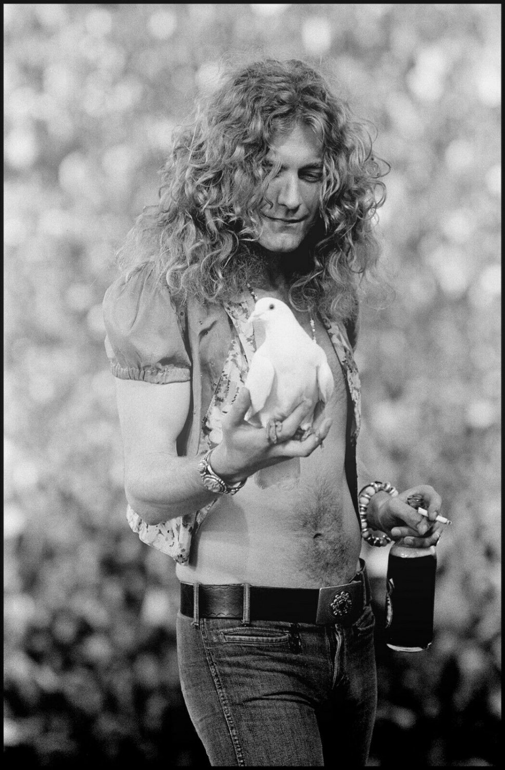 Robert Plant holding a dove that flew into his hands Black & White Poster 13x19