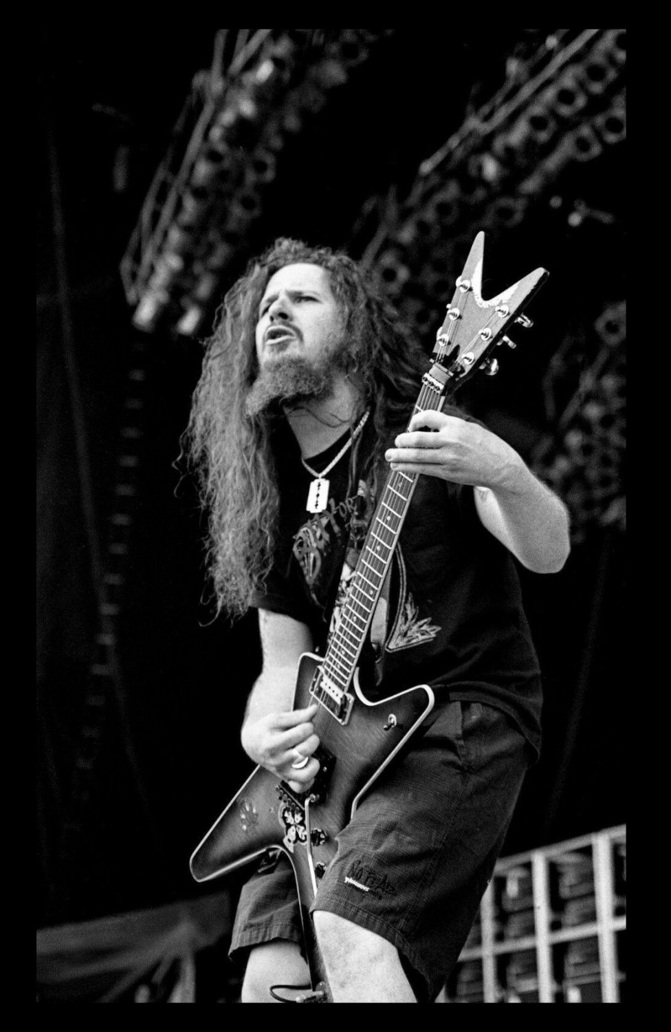 Dimebag Musical Poster 13x19 inches