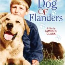A Dog of Flanders Movie Poster 13x19 inches