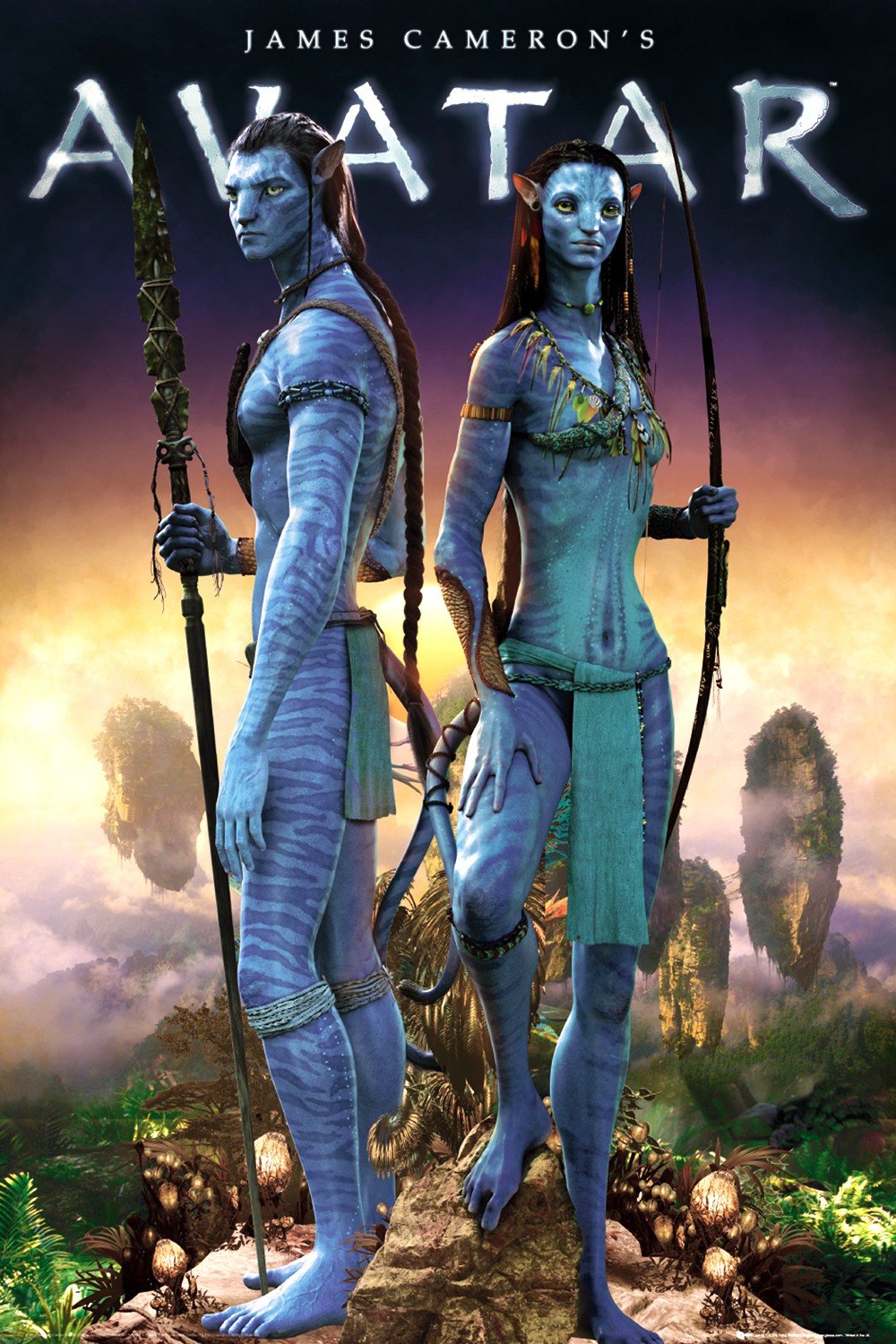 Avatar Movie Poster 13x19 inches