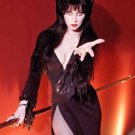 Elvira Movie Poster 13x19 inches