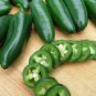 100 seeds Jalapeno Pepper - High Quality Hot Pepper Jalapeno Poppers - Worldwide Shipping