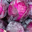 250 Seeds Red Acre Cabbage - Coleslaw - Worldwide Shipping