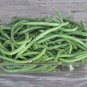 20 Seeds Jade Bush Green Bean - Worldwide Shipping