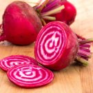 30 Seeds Chioggia Beet Seeds - Worldwide Shipping
