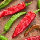 50 Seeds Hatch Sandia Chili Pepper, NuMex, Hot Green Chile, Ristra - Worldwide Shipping