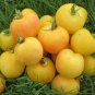 60 Seeds Garden Peach Tomato Seeds, Cocona - Worldwide Shipping