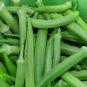 30 Seeds Emerald Okra Seeds, Velvet - Worldwide Shipping