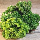 500 Seeds Triple Moss Curled Parsley Seeds - Worldwide Shipping
