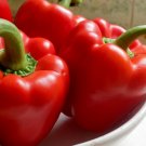 50 Seeds Big Red Sweet Bell Pepper, NON-GMO, Heirloom - Worldwide Shipping