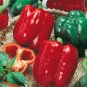 50 Seeds California Wonder Bell Pepper - Worldwide Shipping