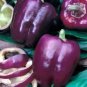 25 Seeds Purple Beauty Bell Pepper Seeds, Sweet, NON-GMO, Heirloom - Worldwide Shipping