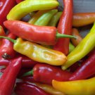 100 Seeds Hungarian Wax Hot Pepper Seeds, Hot Banana Pepper - Worldwide Shipping