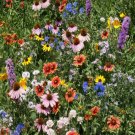 1000 Seeds Northeast Wildflower Mix, 19 Stunning Annuals & Perennials - Worldwide Shipping
