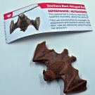 Southern Bent Winged Bat - Yowie Collection Miniature Animal Figure Toys