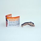 Pygmy Blue Tongue Lizard - Yowie Collection Miniature Animal Figure Toys