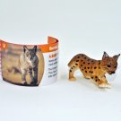Baby Iberian Lynx - Yowie Collection Miniature Animal Figure Toys