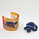 Baby Loggerhead Sea Turtle - Yowie Collection Miniature Animal Figure Toys