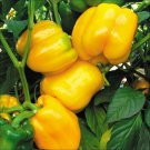 25 Seeds Canary Yellow Sweet Bell Pepper, NON-GMO, Heirloom, Variety Sizes