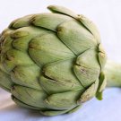 ARTICHOKE  VEGETABLE - 5 FRESH SEEDS FROM US