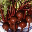 HEIRLOOM DETROIT DARK RED BEET - 25 FRESH SEEDS FROM US
