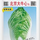 Jingyan® Peking Ox-heart Cabbage 10 grams Seeds - FRESH SEED