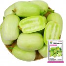 Tiny Elegance Fruits Miniature Butter Thumb Cucumber Seeds, Sweet and Crisp 10 seeds - FRESH SEED