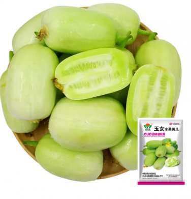 Tiny Elegance Fruits Miniature Butter Thumb Cucumber Seeds, Sweet and Crisp 10 seeds - FRESH SEED