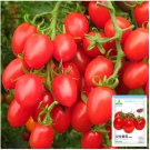 Jam Selection 5 Bags (200 Seeds Bag) of Top-Performing Salad Tomatoes - FRESH SEEDS