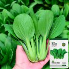 10 gram seeds Pak Choi Seeds - FRESH SEEDS