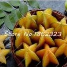 Rare 100 pcs Imported Carambola Seed Star Fruit Tree Shrub Organic Fruit