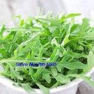 Rare 100PCS Diplotaxis Tenuifolia Roquette Seeds