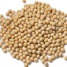 Rare Soybean 100 Seeds Non GMO Pure Seeds Uses Microgreen Sprouts