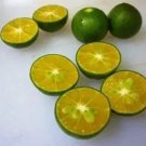Rare New Calamansi Calamondin Lime 20 Seeds Citrus Tangerine fruit