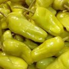 Rare 30 Seeds Pepperoncini Pepper (Hard to Find) Seeds Non-Hybrid, Open-Pollinated