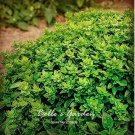 Rare 100 pcs Dark Green Dwarf Basil 'Pluto' Seeds Annual Herb Seeds