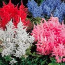 Rare 100 PCS Astilbe Seeds Mixed Red Blue White Pink Colors